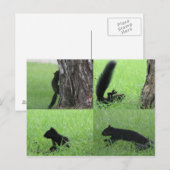 Oh geez Postkarte (Vorne/Hinten)