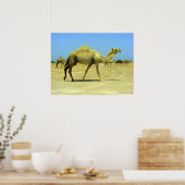 Oh, glücklicher Tag - Kamele in der Wüste Poster (Küche)