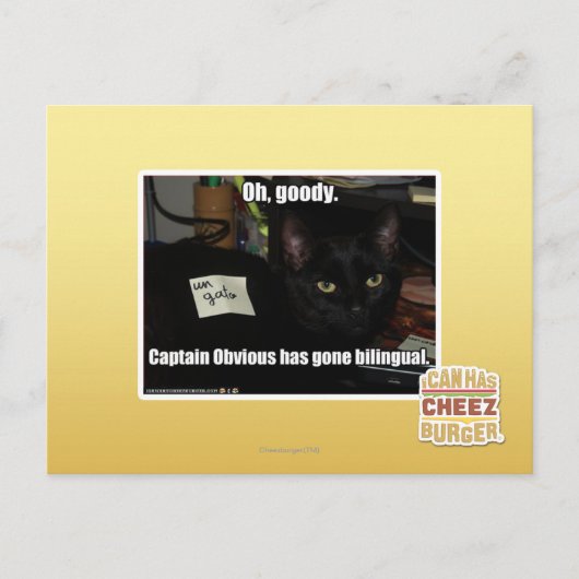 Oh, gute Sachen Postkarte (Vorderseite)