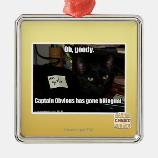 Oh, gute Sachen Silbernes Ornament (Vorne)