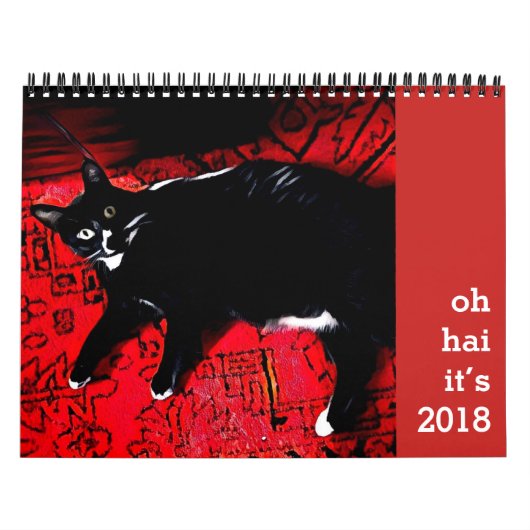 Oh Hai Calendar Kalender (Titelbild)