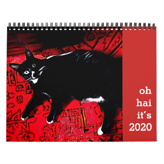 Oh Hai Cat Calendar Kalender (Titelbild)