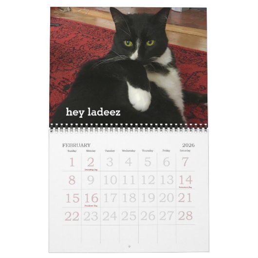 Oh Hai Cat Calendar Kalender (Feb 2026)