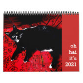 Oh Hai Cat Calendar Kalender (Titelbild)