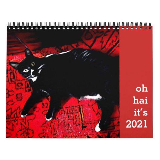 Oh Hai Cat Calendar Kalender (Titelbild)