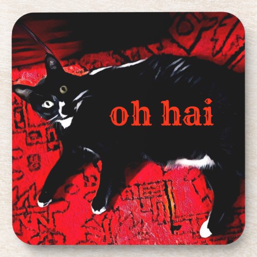 Oh Hai Untersetzer mit Korkrücken - Set von 6 (Vorderseite)