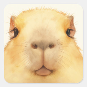 Oh Hallo da Capybara Quadratischer Aufkleber