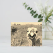 Oh... Hallo! -Postkarte Postkarte (Stehend Vorderseite)