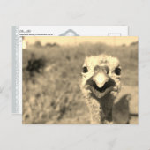 Oh... Hallo! -Postkarte Postkarte (Vorne/Hinten)