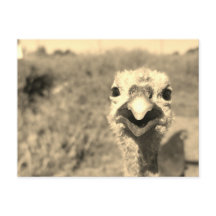 Oh... Hallo! -Postkarte