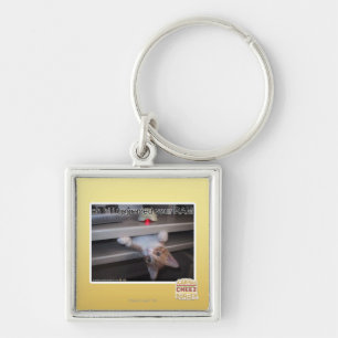 oh hallo verbesserte ich Ihr RAM Schlüsselanhänger