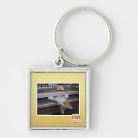 oh hallo verbesserte ich Ihr RAM Schlüsselanhänger (Vorne)