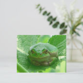 Oh Happy Day - grüner Frosch nah Postkarte (Stehend Vorderseite)
