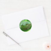 Oh Happy Day - grüner Frosch nah Runder Aufkleber (Umschlag)