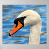 Oh hello poster (Vorne)