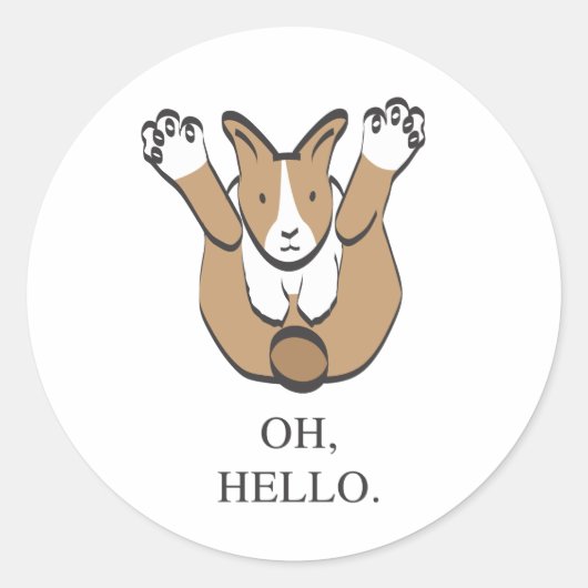 OH, HELLO. RUNDER AUFKLEBER (Vorderseite)