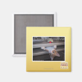 oh hi Ich habe Ihren RAM aktualisiert Magnet (Vorderseite/Rückseite)