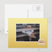 oh hi Ich habe Ihren RAM aktualisiert Postkarte (Vorne/Hinten)