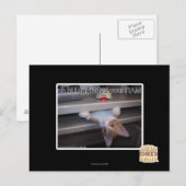 oh hi Ich habe Ihren RAM aktualisiert Postkarte (Vorne/Hinten)