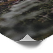 Oh, ich! Oh, das Leben! Walt Whitman Poem Wooded P Poster (Ecke)