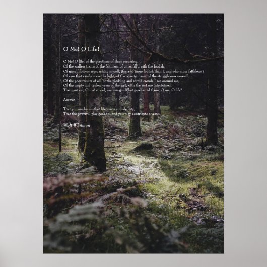 Oh, ich! Oh, das Leben! Walt Whitman Poem Wooded P Poster (Vorne)