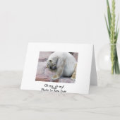 Oh ich, oh mein karte (Rückseite)