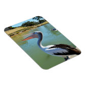 Oh Im a Happy Pelican Tra Lah, Magnet (Rechte Seite)