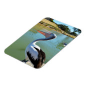 Oh Im a Happy Pelican Tra Lah, Magnet (Linke Seite)