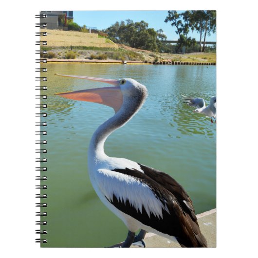 Oh Im A Happy Pelican Tra Lah, Notebook Notizblock (Vorderseite)