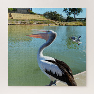 Oh Im a Happy Pelican Tra Lah, Puzzle mit Puzzle