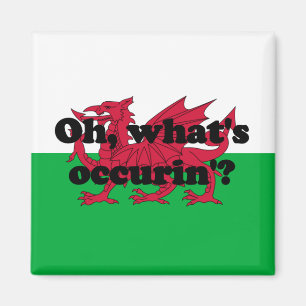 "Oh, ist was occurin"? ' Magnet