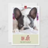 Oh Joy | Funny Holiday Photo Card