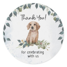 Oh Junge! Retriever Puppy Dog Vielen Dank