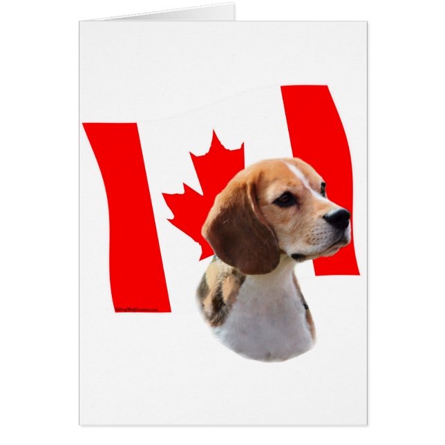 Oh, Kanada...und Beagle. (Vorne)