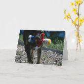 Oh-Kein Herr Bill Karte (Gelbe Blume)