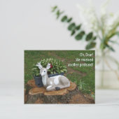 Oh, liebe postkarte (Stehend Vorderseite)