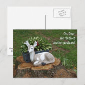 Oh, liebe postkarte (Vorne/Hinten)
