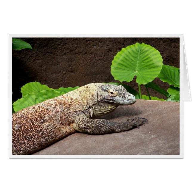"Oh nein... es ist Komodo!" (Vorderseite (Horizontal))