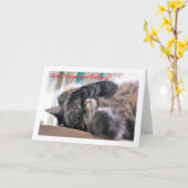 Oh nein, ich habe deinen Geburtstag vergessen! Cat Karte (Gelbe Blume)