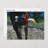 Oh-No Mr. Bill Postcard Postkarte (Vorne/Hinten)