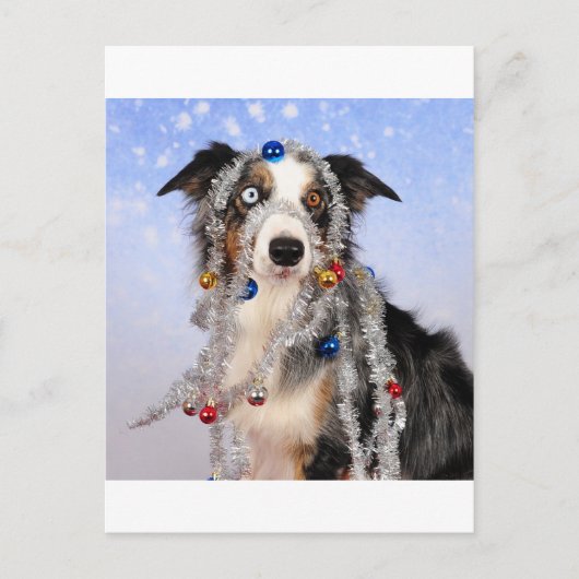 Oh-oh Postkarte (Vorderseite)