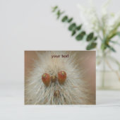 Oh Postkarte (Stehend Vorderseite)