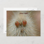 Oh Postkarte (Vorne/Hinten)