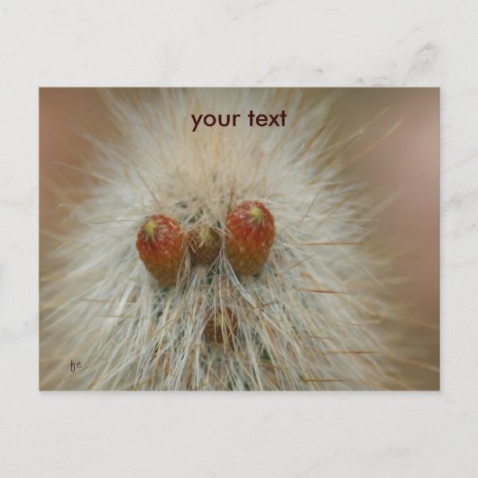 Oh Postkarte (Vorderseite)