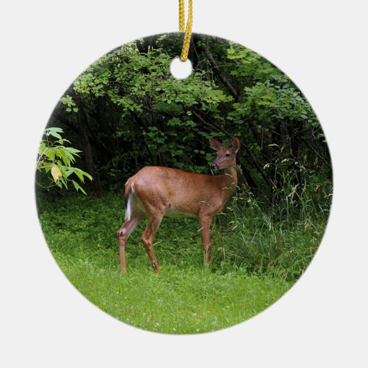 Oh Rotwild! Keramik Ornament (Vorne)