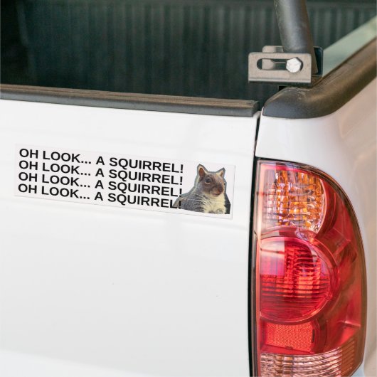 Oh, schau mal! Ein Eichhörnchen! Autoaufkleber (Auf Lkw)