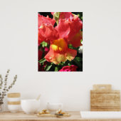 Oh, schläfst! Dragon Poster (Küche)