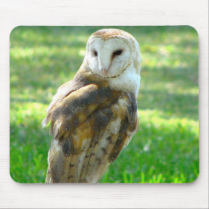 Oh Schleiereule Mousepad