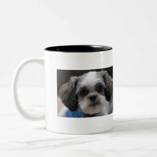OH- SHIH TZU ist es Kaffee-Zeit Zweifarbige Tasse (Links)
