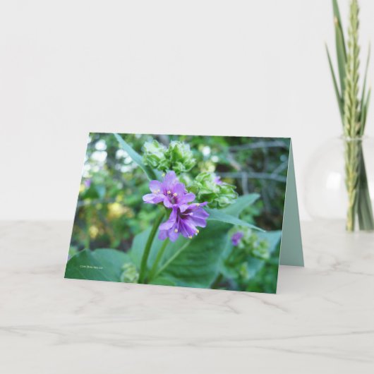 Oh so lila karte (Vorderseite)